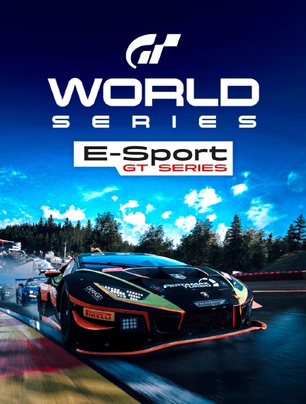 E-sport - E-sports : GT World Series