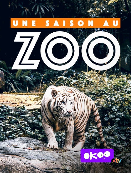 Okoo - Une saison au zoo