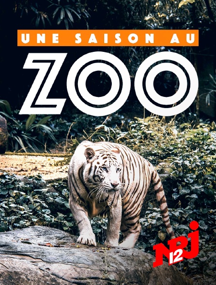 NRJ 12 - Une saison au zoo