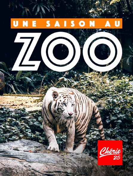 Chérie 25 - Une saison au zoo