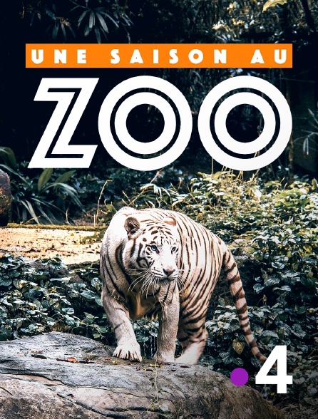 France 4 - Une saison au zoo