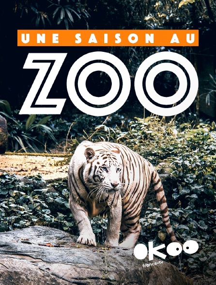 Okoo - Une saison au zoo