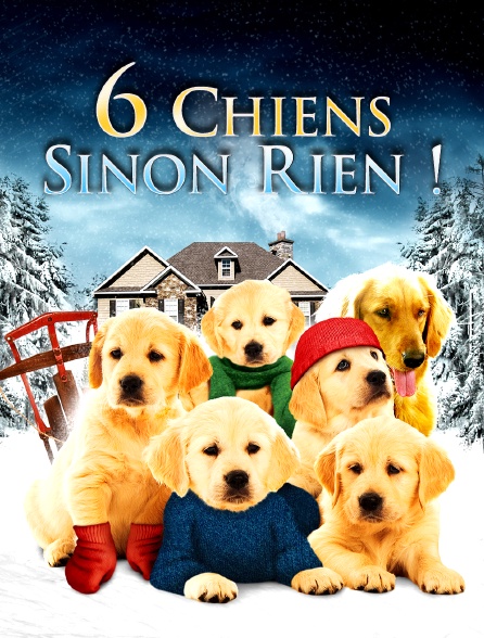6 chiens sinon rien