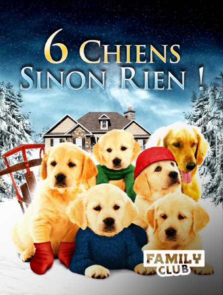 Family Club - 6 chiens sinon rien !