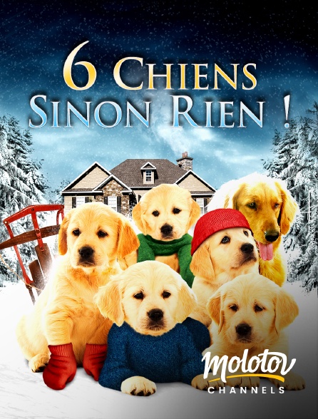 Molotov channels - 6 chiens sinon rien
