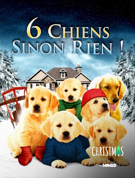 Christmas by MANGO - 6 chiens sinon rien