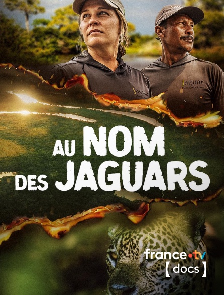 France TV Docs - Au nom des jaguars en replay
