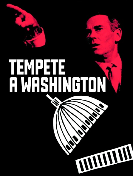 Tempête à Washington
