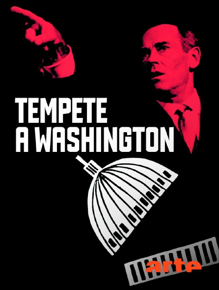 Arte - Tempête à Washington