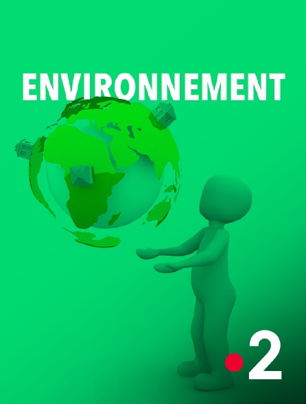 France 2 - Royaumes d'Asie