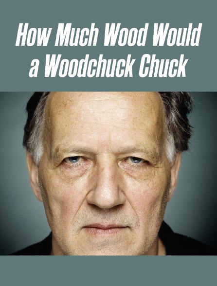 How Much Wood Would a Woodchuck Chuck