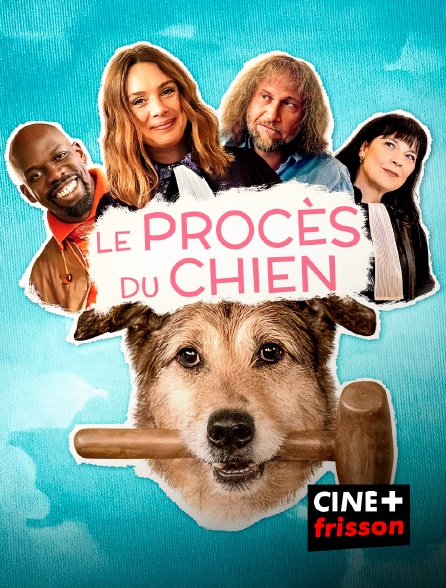 CINE+ Frisson - Le Procès du chien