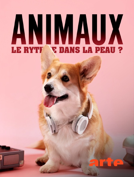 Arte - Animaux : Le rythme dans la peau ?