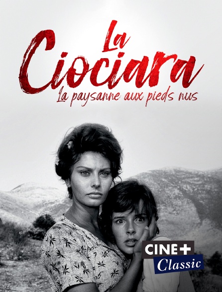 Ciné+ Classic - La Ciociara : la paysanne aux pieds nus