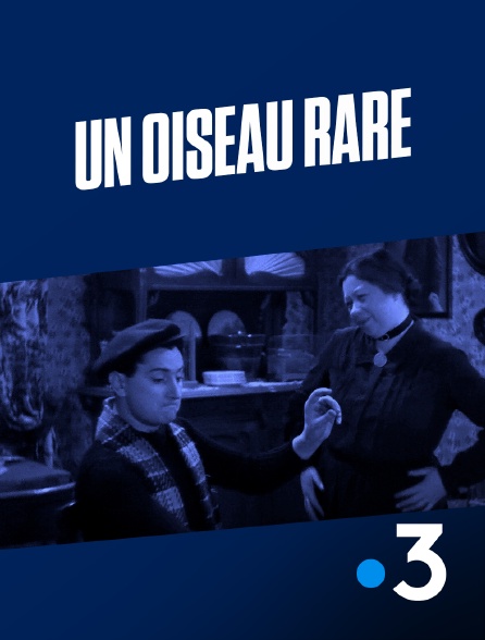 France 3 - Un oiseau rare