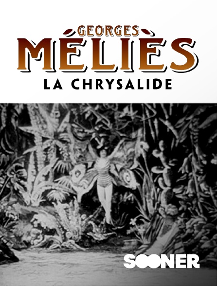 Sooner - La chrysalide