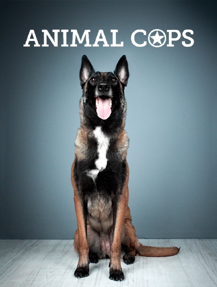 Animal cops Philadelphia