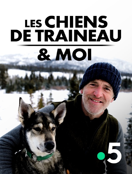 France 5 - Les chiens de traineau & moi