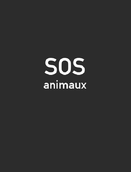 SOS animaux