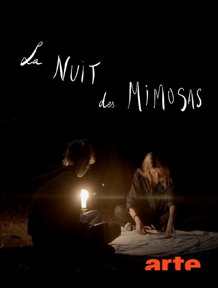 Arte - La nuit des mimosas