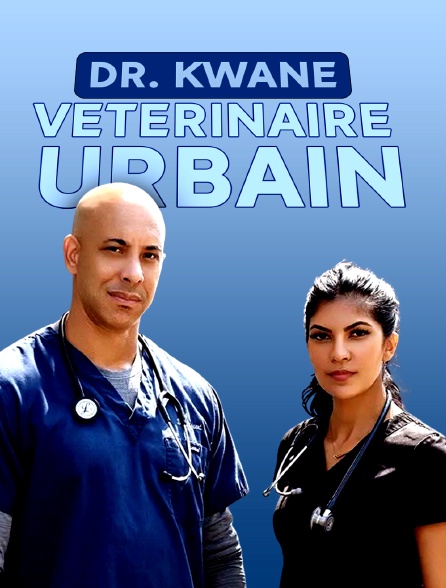 Dr. Kwane, vétérinaire urbain