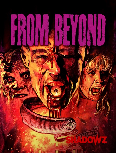 Shadowz - From Beyond : Aux Portes de l'Au-delà