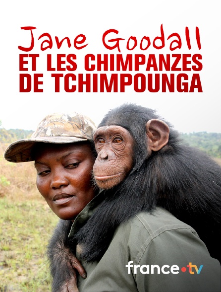 France.tv - Jane Goodall et les chimpanzés de Tchimpounga