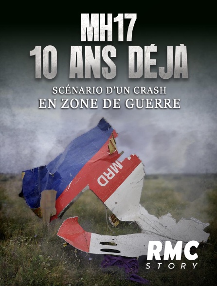 RMC Story - MH17, 10 ans déjà : scénario d'un crash en zone de guerre