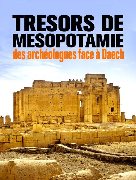 Trésors de Mésopotamie : des archéologues face à Daech