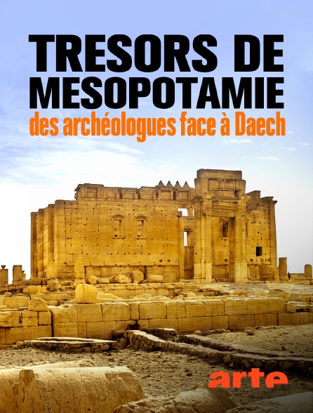 Arte - Trésors de Mésopotamie : des archéologues face à Daech