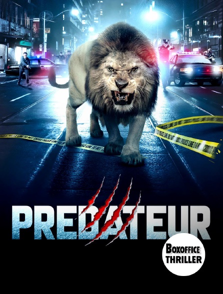Box Office Thriller - Prédateur