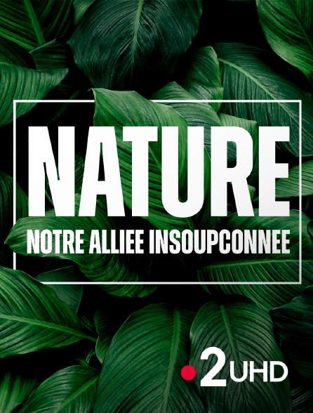 France 2 UHD - Nature, notre alliée insoupconnée