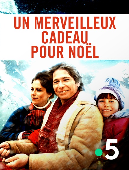France 5 - Un merveilleux cadeau pour Noël