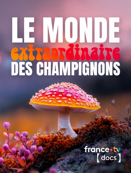 France TV Docs - Le monde extraordinaire des champignons