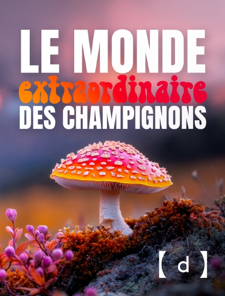 France TV Docs - Le monde extraordinaire des champignons