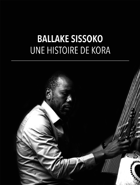 Ballaké Sissoko : une histoire de kora