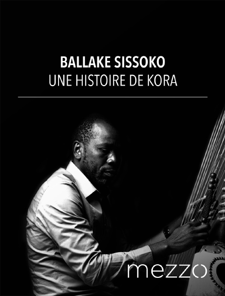 Mezzo - Ballaké Sissoko : une histoire de kora