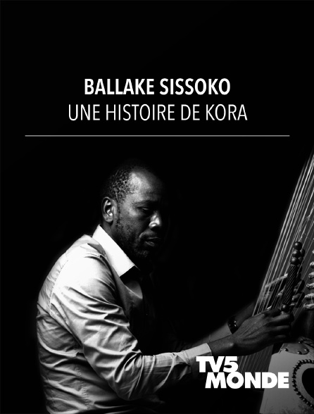 TV5MONDE - Ballaké Sissoko : une histoire de kora