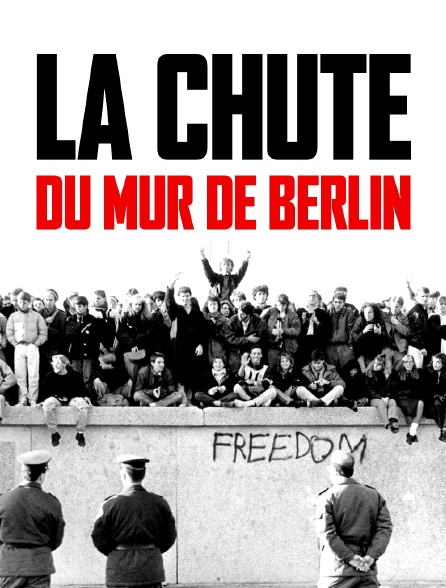 La chute du mur de Berlin