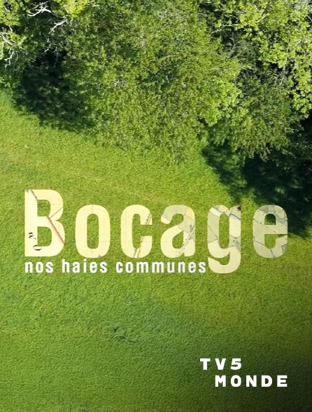 TV5MONDE - Bocage, nos haies communes