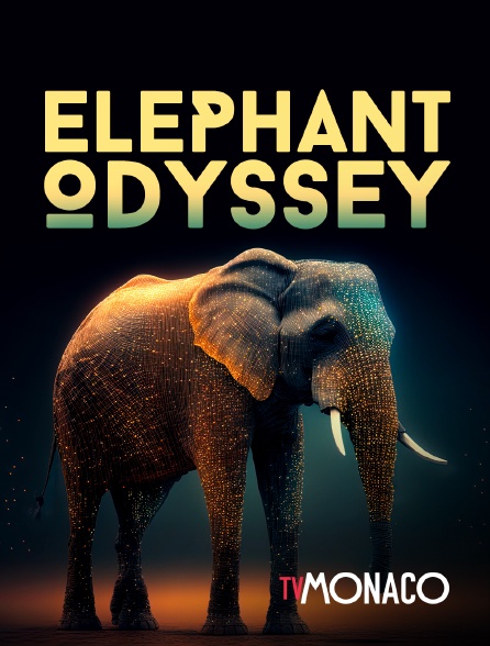 TV Monaco - Elephant odyssey