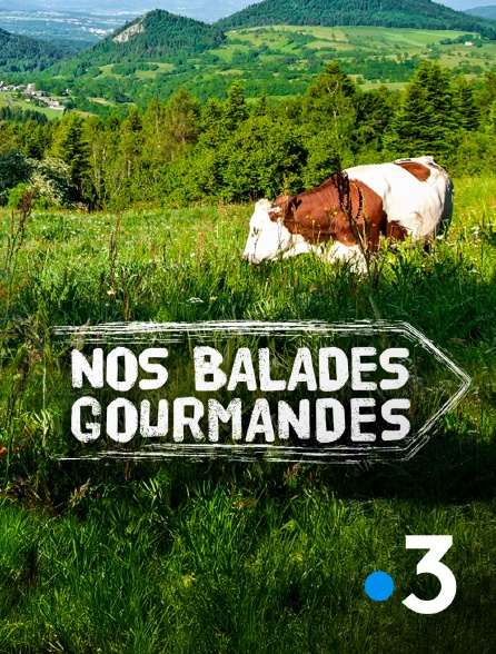 France 3 - Nos balades gourmandes