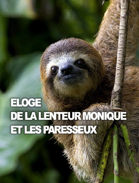 Eloge de la lenteur Monique et les paresseux