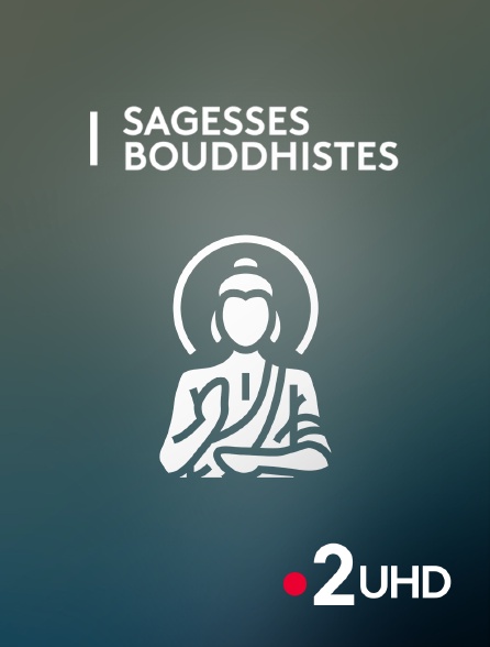 France 2 UHD - Sagesses bouddhistes