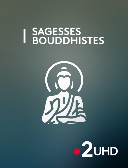 France 2 UHD - Sagesses bouddhistes - 22/09/2024 à 08h31