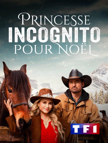 TF1 - Princesse incognito pour Noël