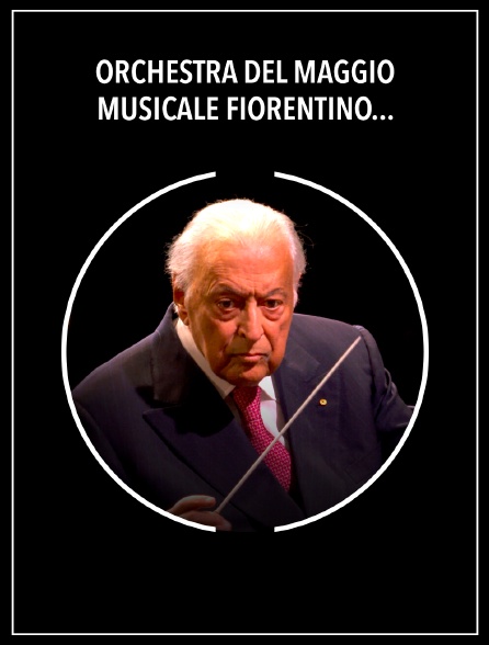 Orchestra del Maggio Musicale Fiorentino, Zubin Mehta: Beethoven - Ljubljana Festival