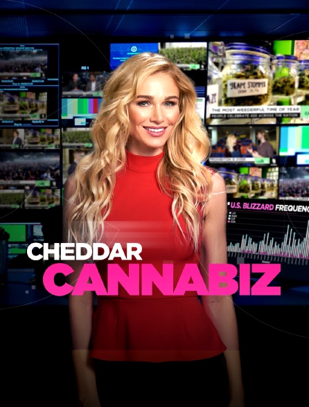 Cheddar's Cannabiz