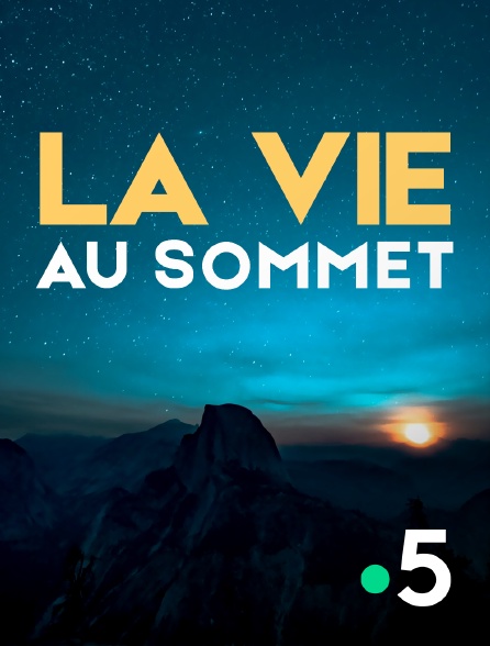 France 5 - Sur les toits du monde