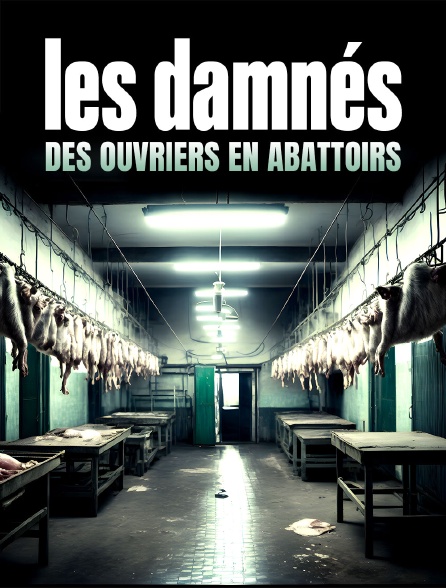 Les damnés, des ouvriers en abattoirs